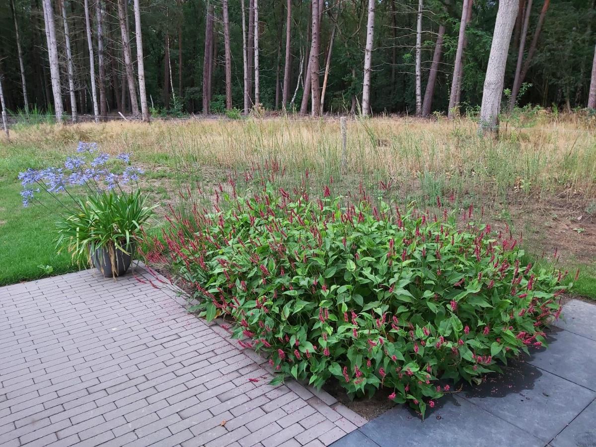 Veul Oe Thuus Hoeve Kroep An Vorden Exterior foto